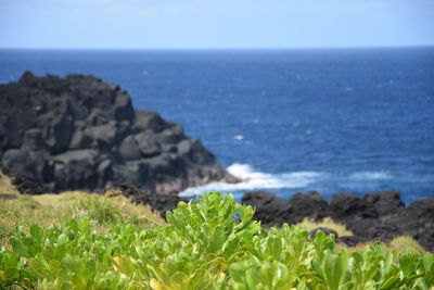 Scenic view of sea against sky