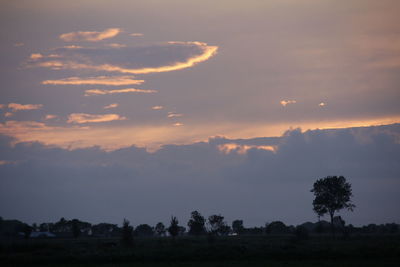 Silhouette trees on field against sky at sunset