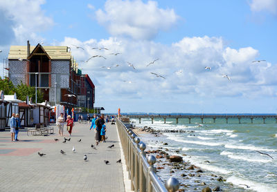 Birds flying over beach against sky