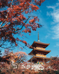 Low angle view of cherry tree by building against sky