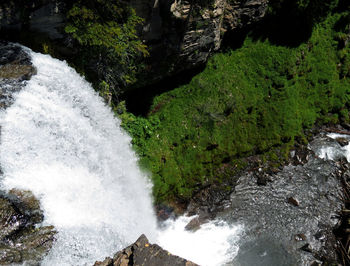 High angle view of waterfall in forest