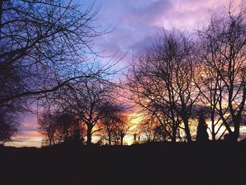 Silhouette of bare trees at sunset