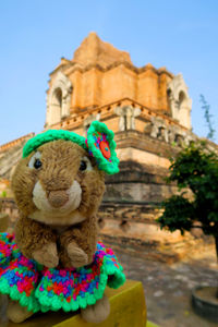 Close-up of stuffed toy on wall against temple