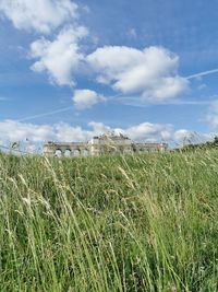 Scenic view of agricultural field against sky