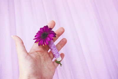 Cropped hand holding flower