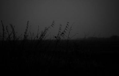 Silhouette trees against sky