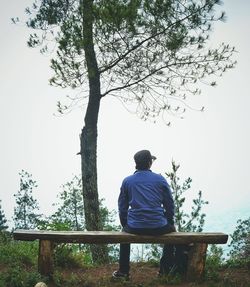 Rear view of man sitting on bench