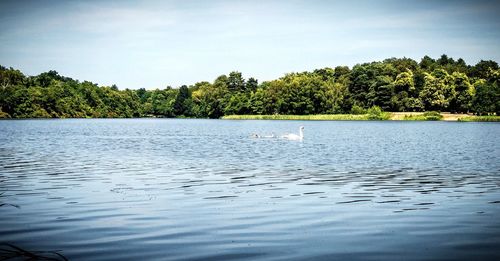 Scenic view of lake against sky