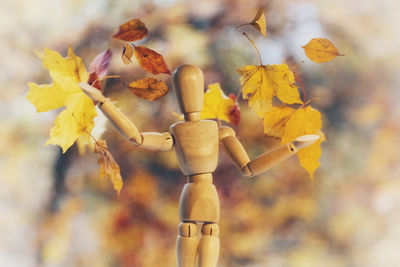 Close-up of yellow autumn leaves on wood