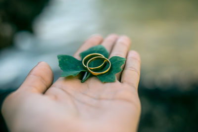 Close-up of cropped woman hand holding wedding rings with leaf