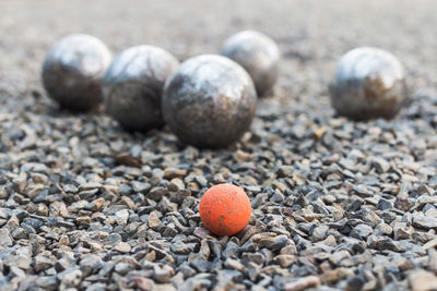 Petanque boules on the floor of a petanque court