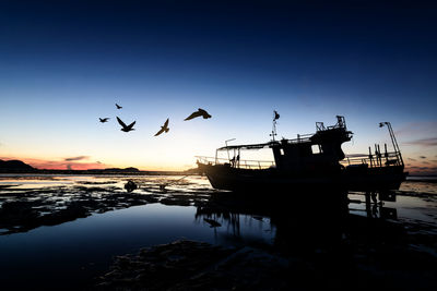 Silhouette of birds flying over sea