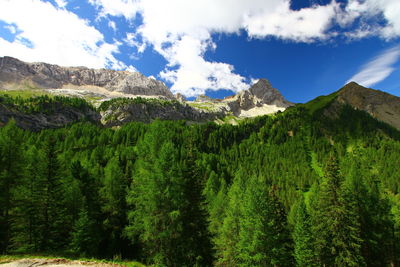 Panoramic view of landscape against sky