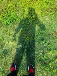 Low section of person standing on field