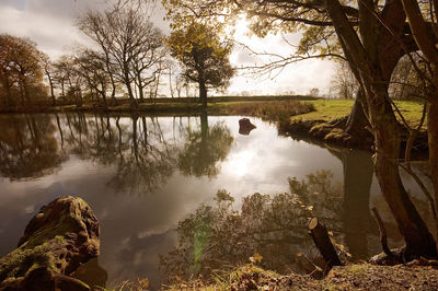 Scenic view of lake in forest against sky