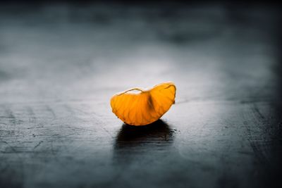 Close-up of orange flower on table
