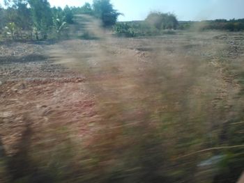 Blurred motion of trees on field against sky