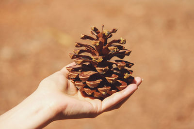 Close-up of woman hand against white background