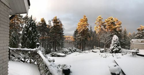 Panoramic view of trees against sky during winter
