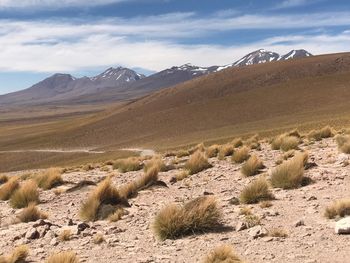 Scenic view of landscape against sky