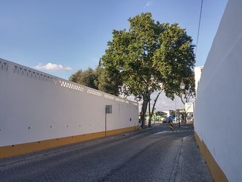 Street amidst trees and buildings against sky