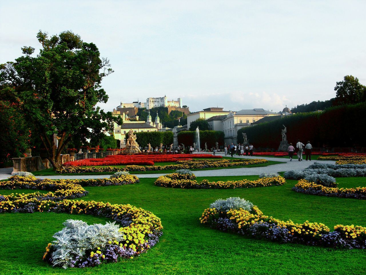 SCENIC VIEW OF PARK