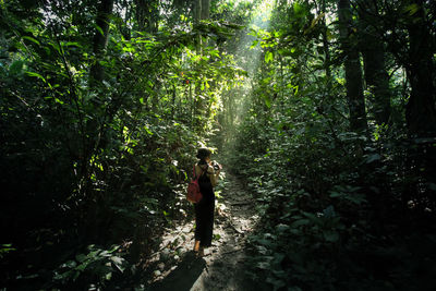 Rear view of woman walking in forest