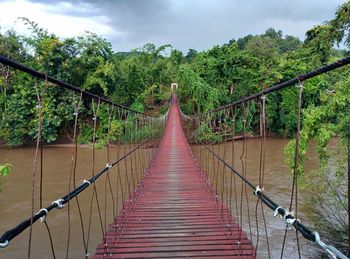 Footbridge amidst trees in forest against sky