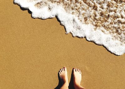 Low section of woman standing on shore at beach