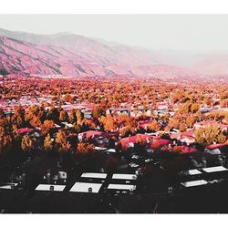 High angle shot of townscape