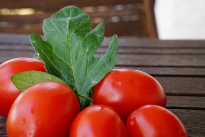 Close-up of tomatoes on table