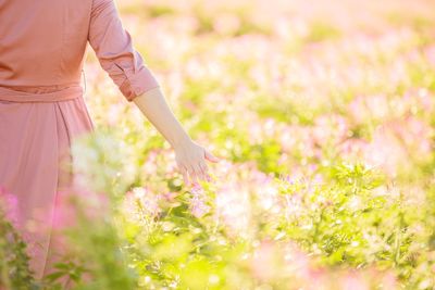 Midsection of woman standing by pink flowering plants on field