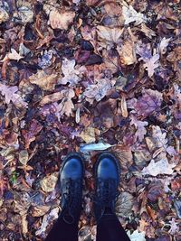 Low section of person standing on leaves during autumn