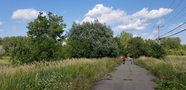 Rear view of person walking on road amidst field against sky