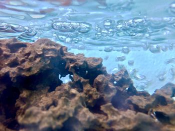 Close-up of water in sea