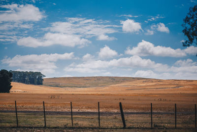 Scenic view of agricultural field against sky