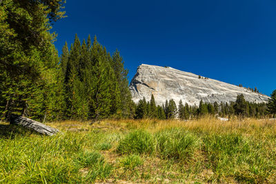 Scenic view of landscape against clear blue sky