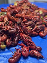 Close-up of seafood in plate
