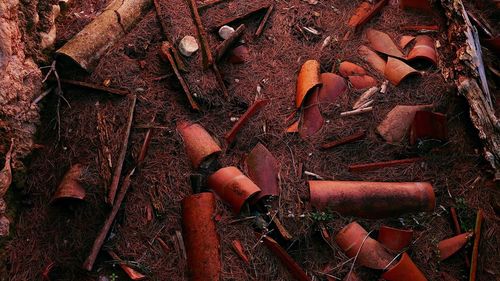 Close-up of abandoned objects