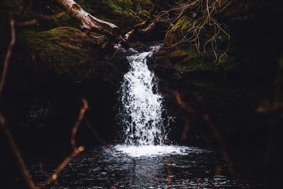Water flowing through rocks in forest