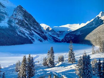 Snow covered pine trees and mountains against blue sky. early morning winter landscape