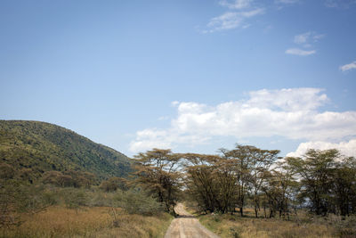 Trees on field against sky