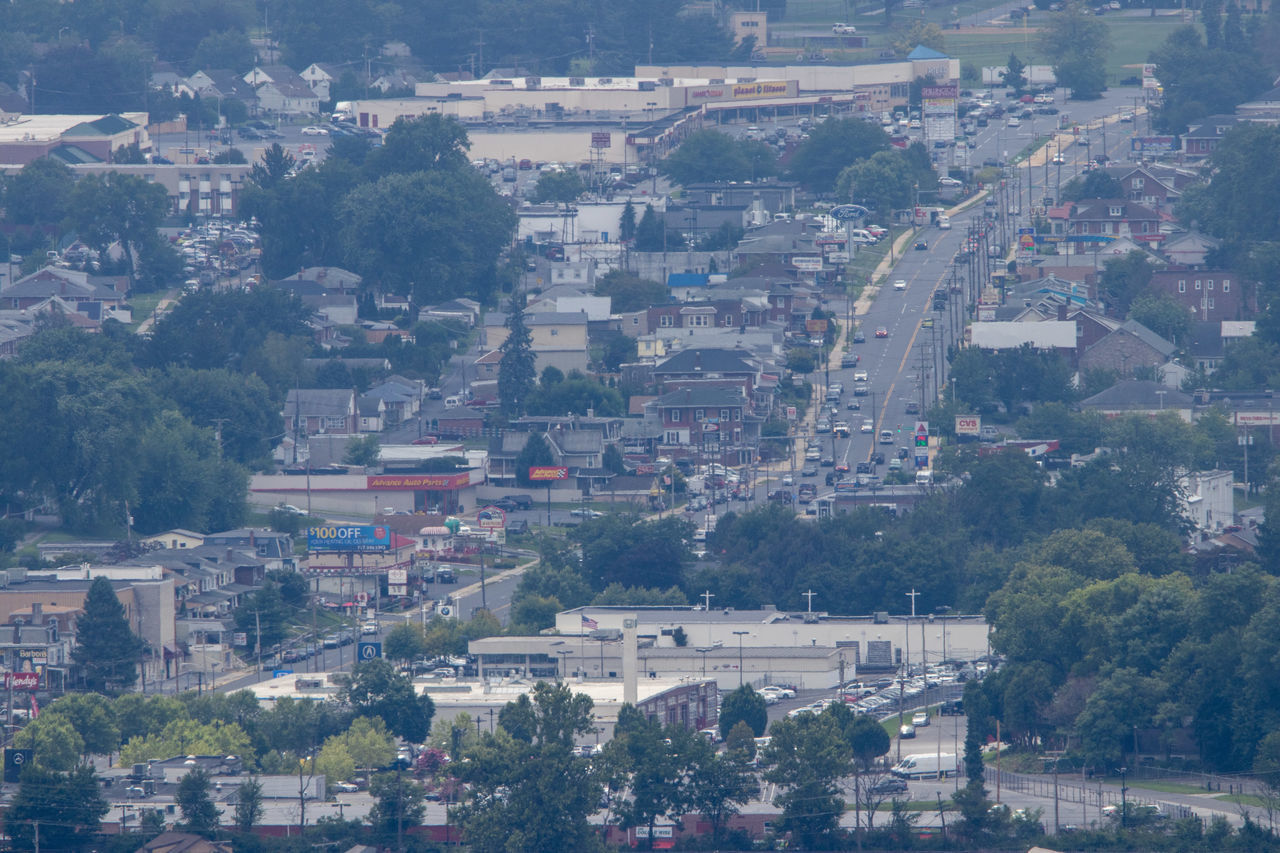 HIGH ANGLE VIEW OF TOWNSCAPE AND TREES