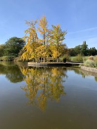 Scenic view of lake by trees against sky