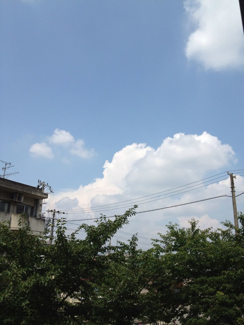 sky, low angle view, cloud - sky, built structure, cloud, architecture, blue, tree, growth, building exterior, plant, nature, day, outdoors, no people, connection, cloudy, power line, green color, cable