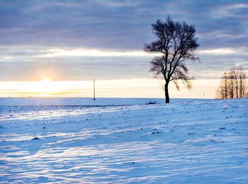 Silhouette trees on snow covered field against cloudy sky during sunrise