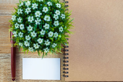 Directly above shot of potted plant against white background