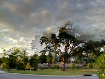 Trees by road against sky in city