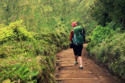 Rear view of female hiker walking on footpath amidst plants at forest