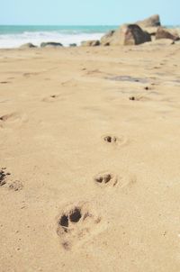 Scenic view of beach